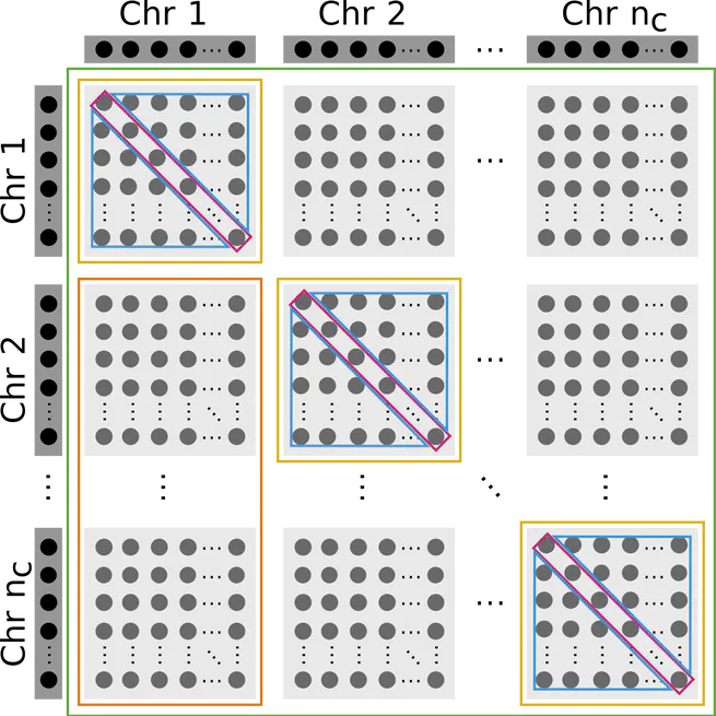 Temporal and genomic analysis of additive genetic variance in breeding programmes