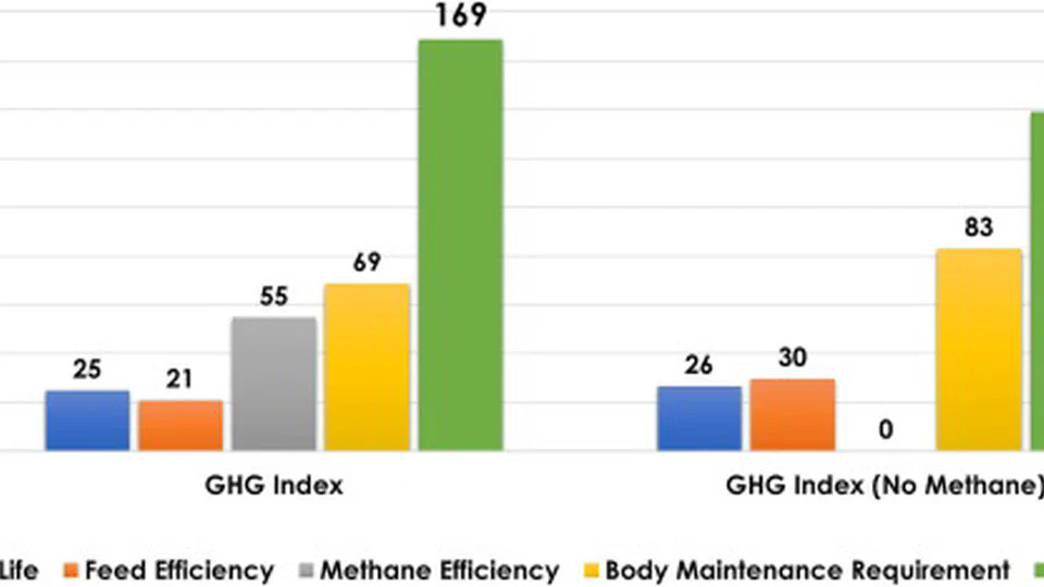 Breeding for sustainability: Development of an index to reduce greenhouse gas in dairy cattle